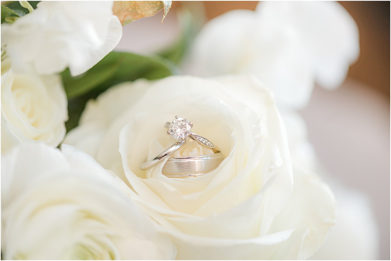 wedding rings rest in ivory rose 