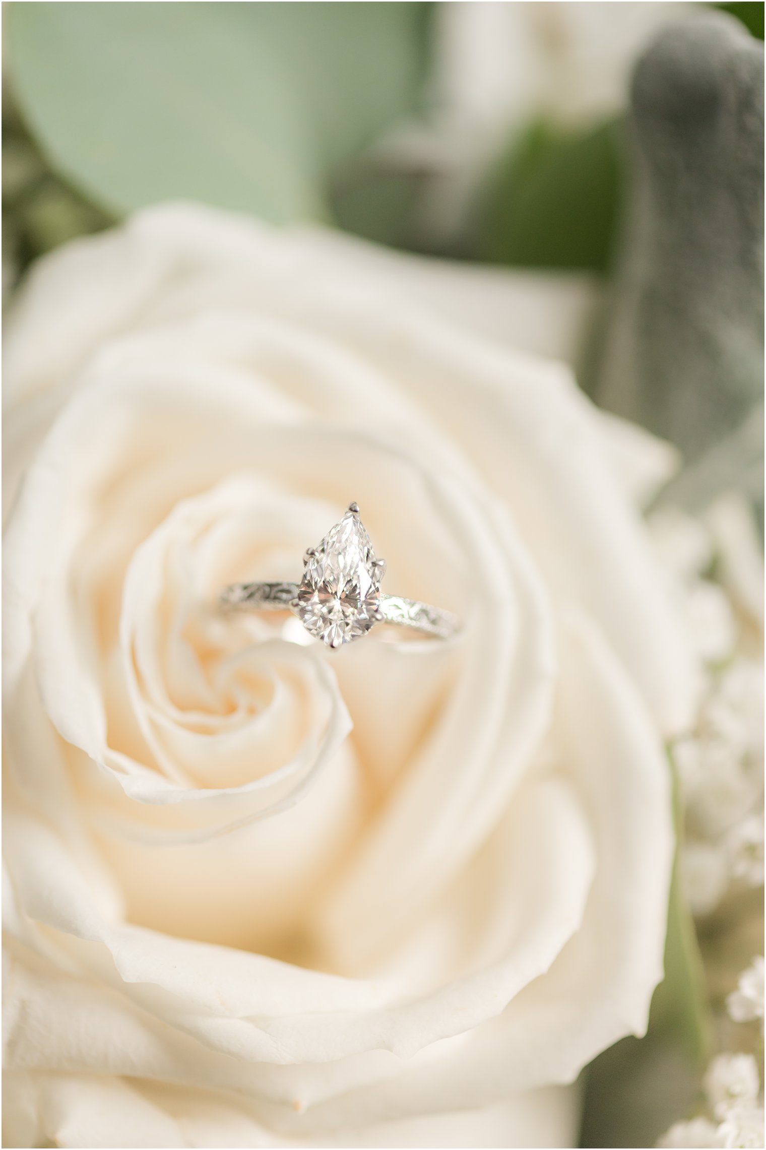 pear shaped diamond ring sits in white rose 