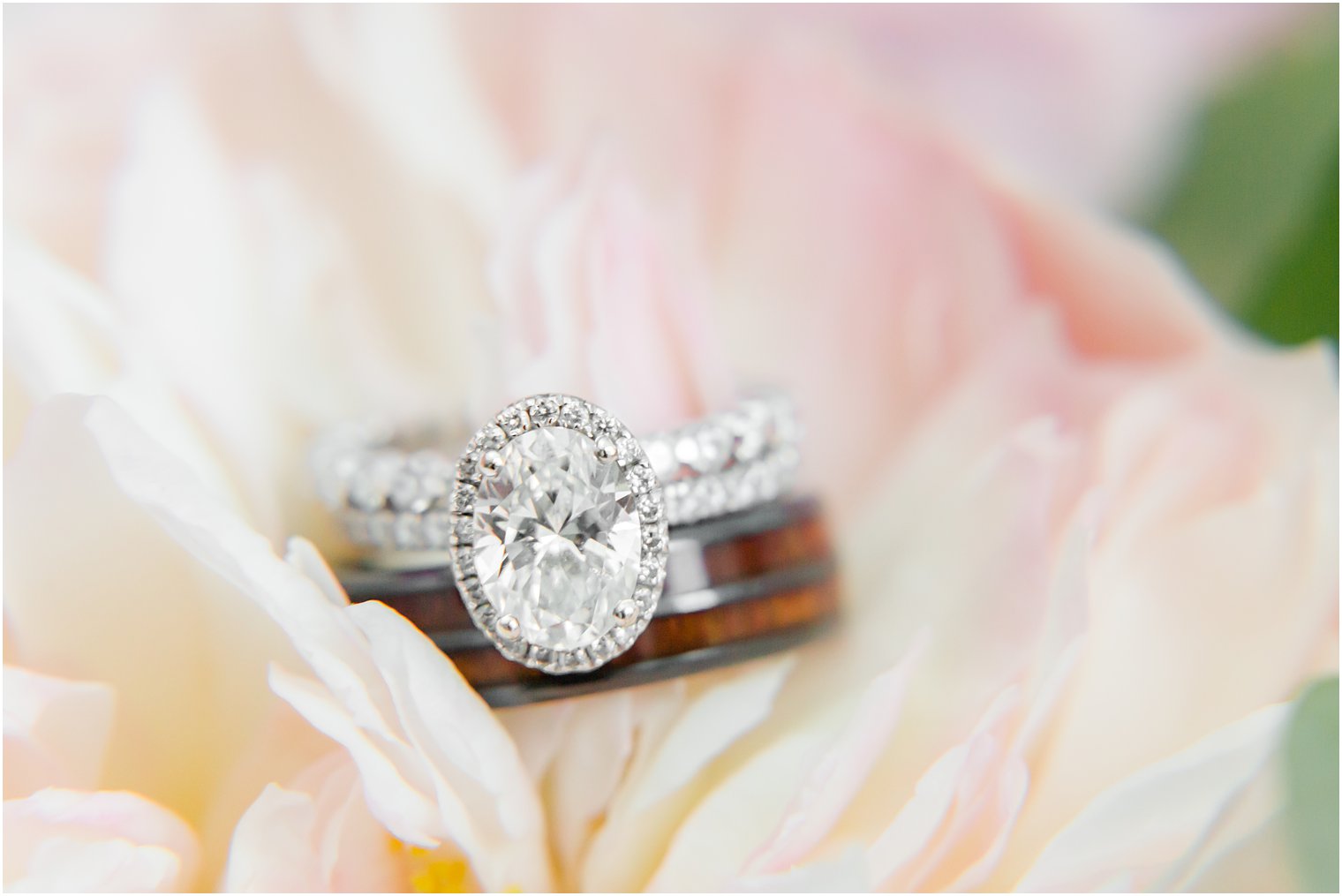 diamond wedding ring rests in pink peony 