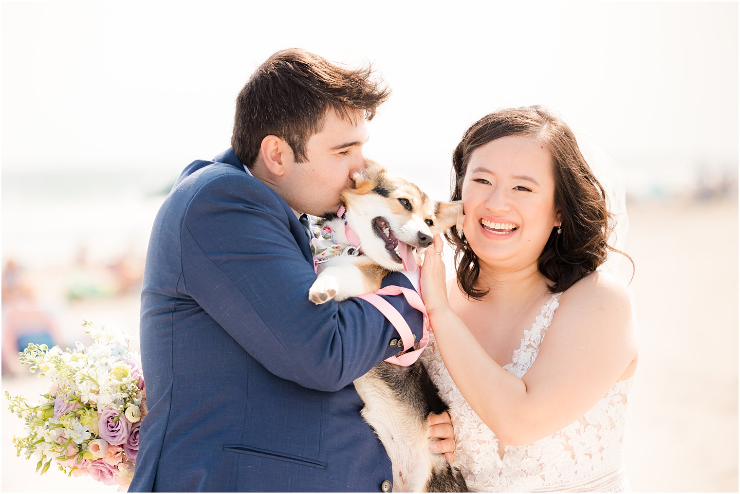 bride and groom laugh petting dog during portraits on beach 