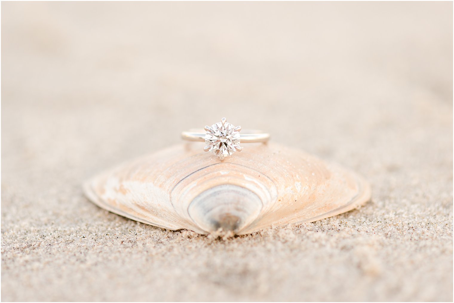 engagement ring rests on peach seashell on sand 