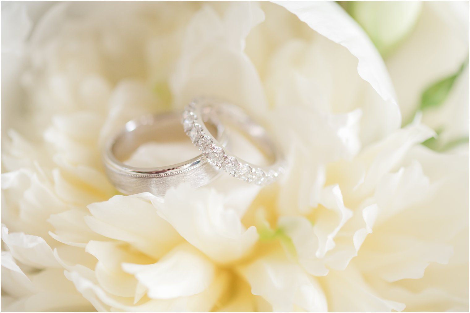 wedding rings rest on white flower in New Jersey