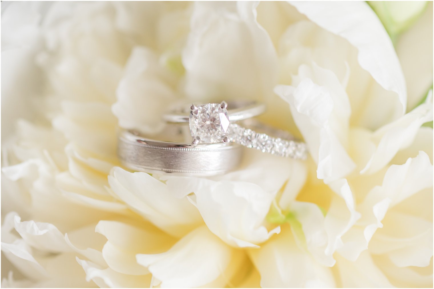 wedding rings lay in ivory flower before NJ wedding day