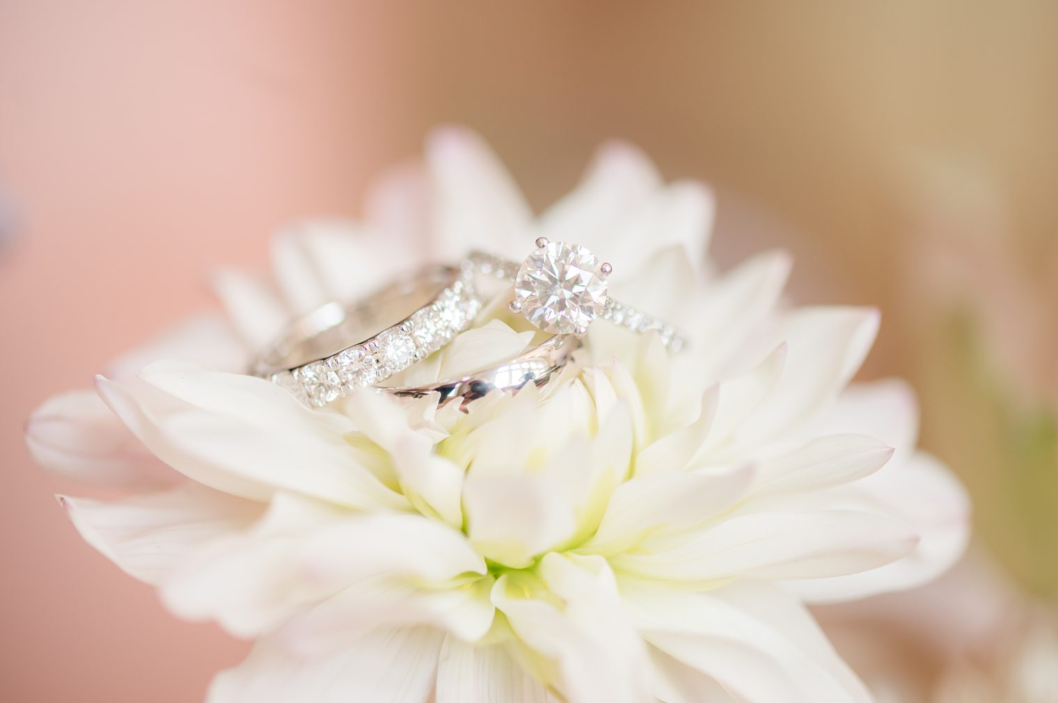 Details of flowers and wedding rings